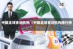 中国足球青训机构（中国足球青训机构排行榜）