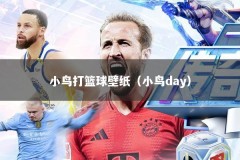 小鸟打篮球壁纸（小鸟day）