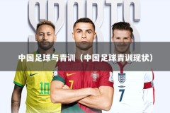 中国足球与青训（中国足球青训现状）