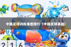 中国足球训练难度排行（中国足球基础）