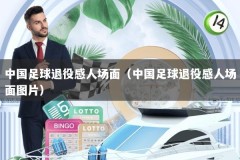 中国足球退役感人场面（中国足球退役感人场面图片）