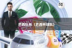 巴西队杯（巴西杯球队）