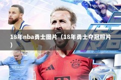 18年nba勇士图片（18年勇士夺冠照片）
