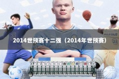 2014世预赛十二强（2014年世预赛）