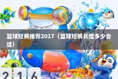 篮球短裤推荐2017（篮球短裤长度多少合适）