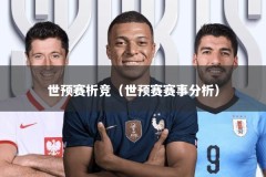 世预赛析竞（世预赛赛事分析）
