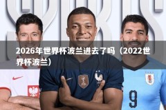 2026年世界杯波兰进去了吗（2022世界杯波兰）