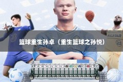 篮球重生孙卓（重生篮球之孙悦）