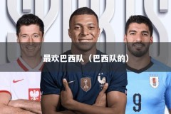 最欢巴西队（巴西队的）