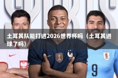 土耳其队能打进2026世界杯吗（土耳其进球了吗）