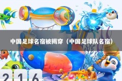 中国足球名宿被揭穿（中国足球队名宿）