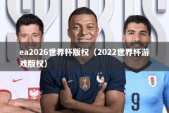 ea2026世界杯版权（2022世界杯游戏版权）