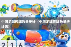 中国足球传球数量统计（中国足球传球数量统计表）
