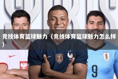 竞技体育篮球魅力（竞技体育篮球魅力怎么样）