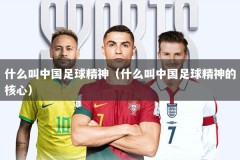 什么叫中国足球精神（什么叫中国足球精神的核心）