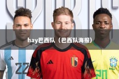 hay巴西队（巴西队海报）