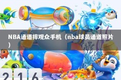 NBA通道摔观众手机（nba球员通道照片）
