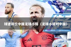 球迷评价中国足球小将（足球小将对中国）