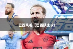 巴西队毛（巴西队主攻）