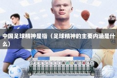 中国足球精神是指（足球精神的主要内涵是什么）