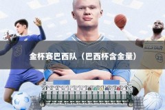 金杯赛巴西队（巴西杯含金量）