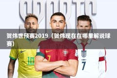 贺炜世预赛2019（贺炜现在在哪里解说球赛）