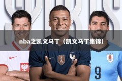 nba之凯文马丁（凯文马丁集锦）