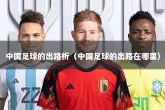 中国足球的出路析（中国足球的出路在哪里）