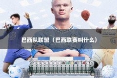 巴西队联盟（巴西联赛叫什么）