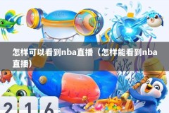 怎样可以看到nba直播（怎样能看到nba直播）