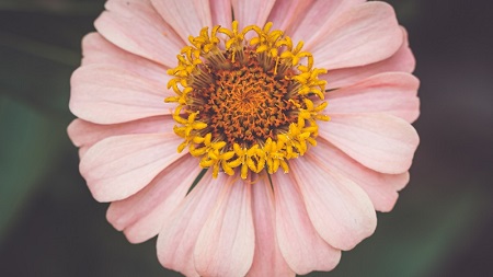 中国空中技巧队期待“福地”再对决